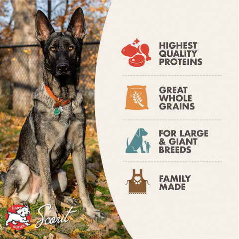 Fromm | Gold | Large Breed Adult