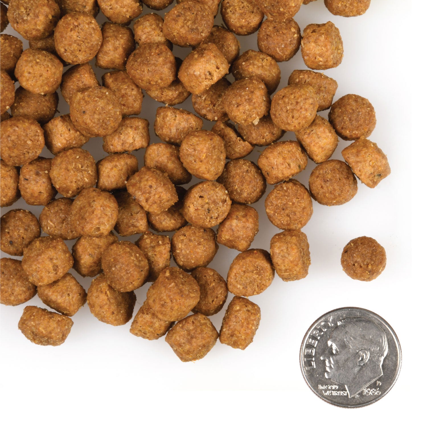 Fromm | Gold | Large Breed Puppy